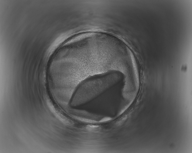 X0000116490055200912231200