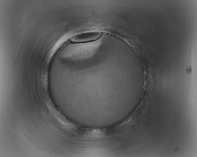 X0000116490056200912231200