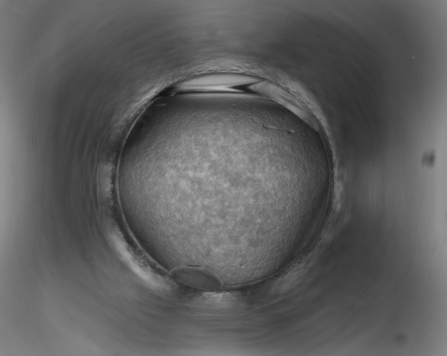 X0000116490057200912231200