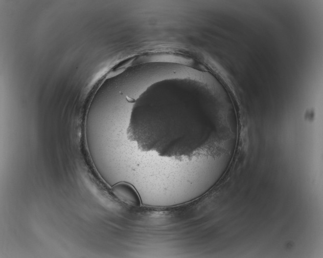 X0000116490059200912231200