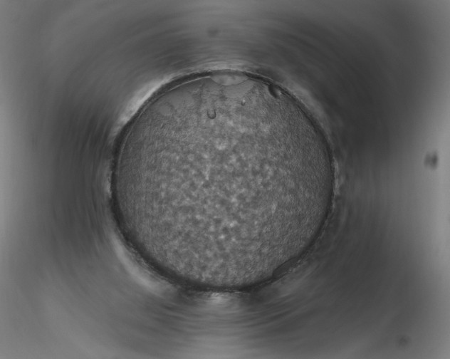 X0000116490060200912231200