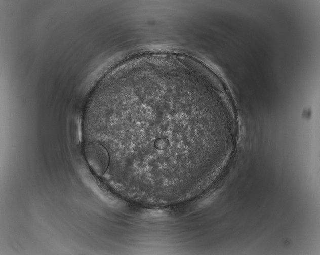 X0000116490061200912231200