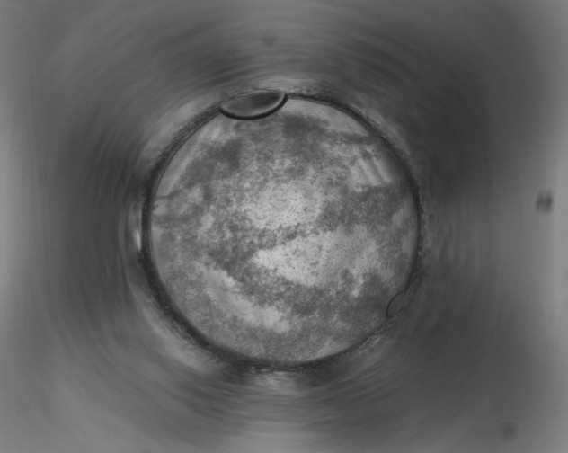 X0000116490062200912231200