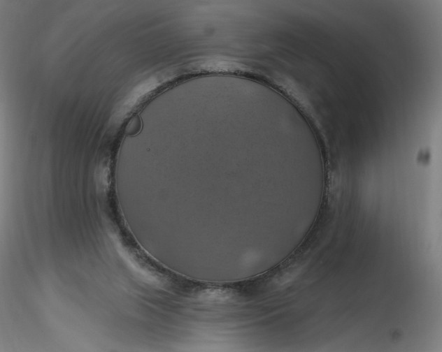 X0000116490063200912231200