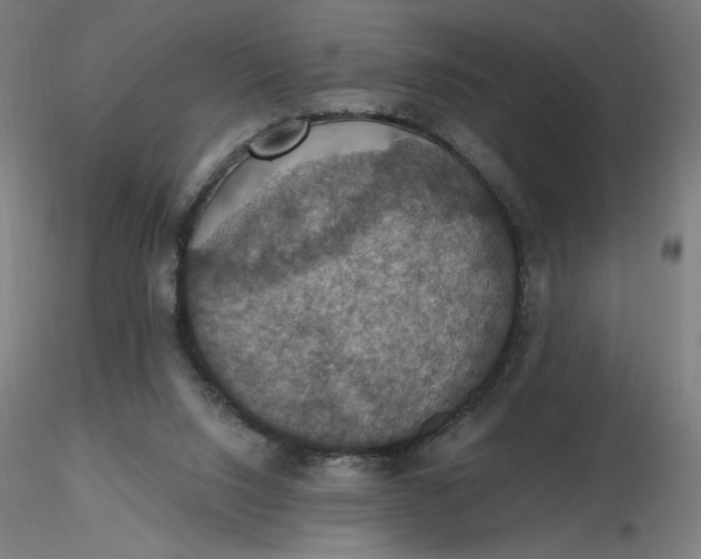 X0000116490064200912231200