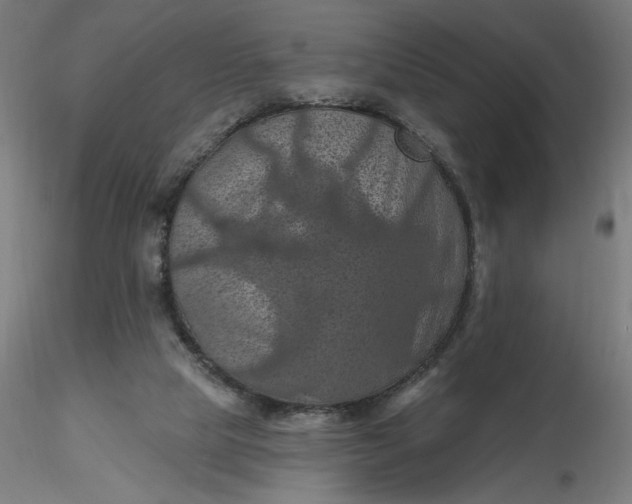 X0000116490065200912231200