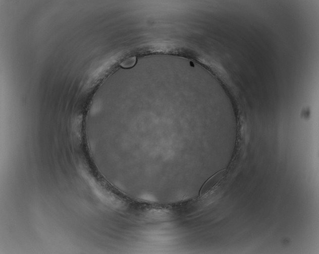 X0000116490066200912231200