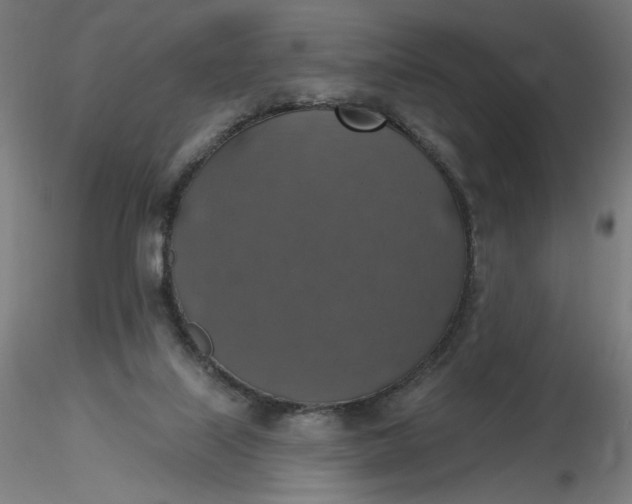 X0000116490067200912231200