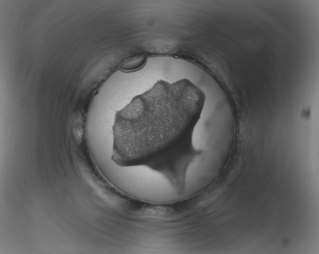 X0000116490069200912231200