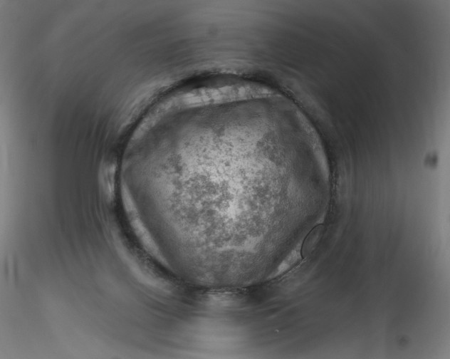 X0000116490070200912231200