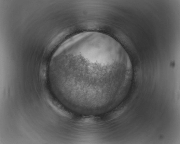 X0000116490072200912231200