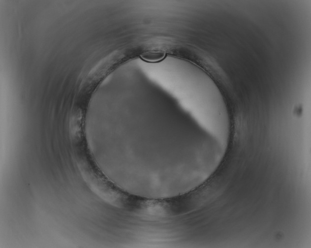 X0000116490073200912231200