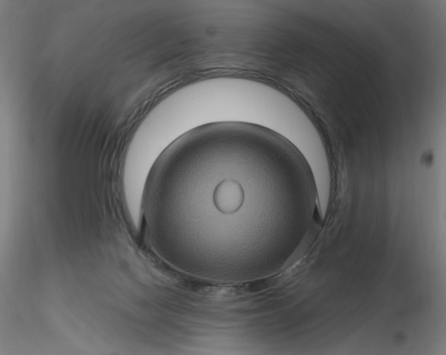 X0000116490074200912231200