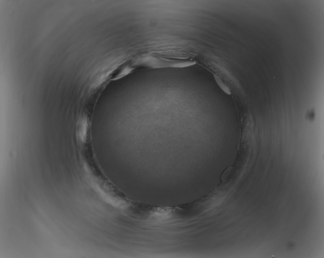 X0000116490076200912231200