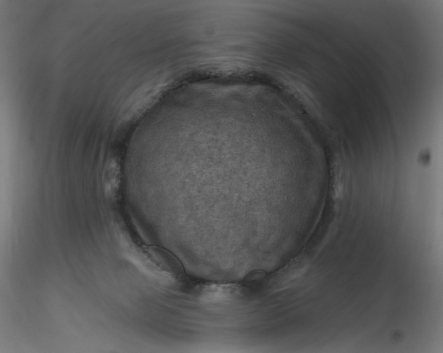 X0000116490077200912231200