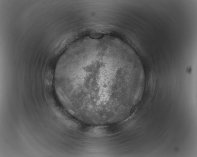 X0000116490078200912231200