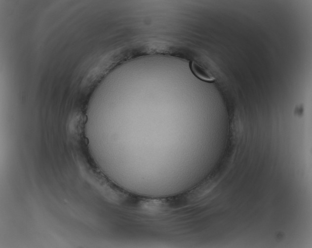 X0000116490079200912231200