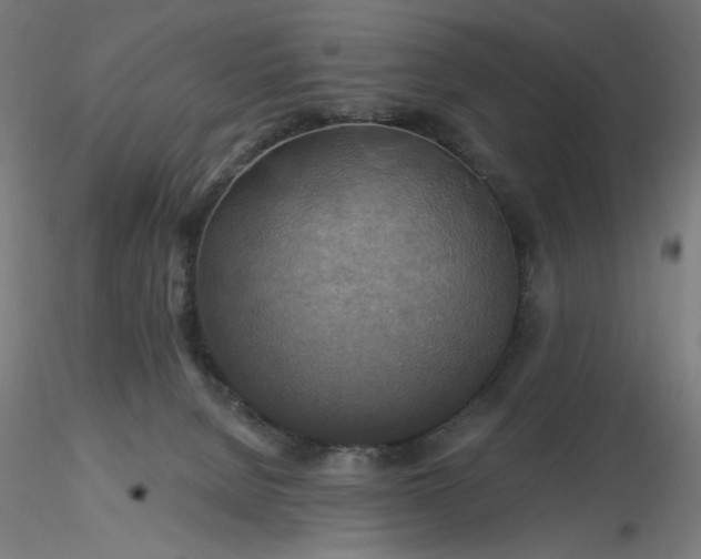 X0000116490080200912231200