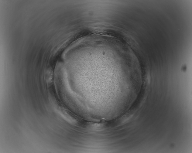 X0000116490081200912231200