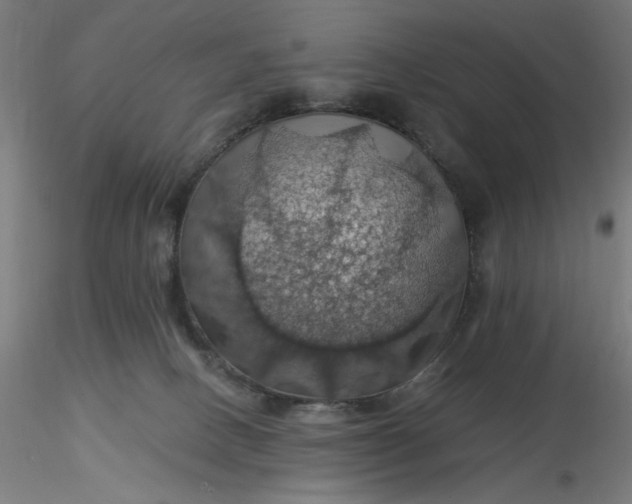 X0000116490082200912231200