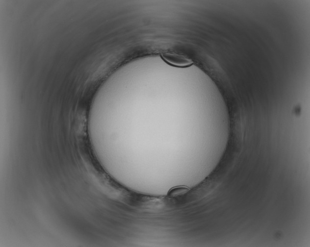 X0000116490083200912231200