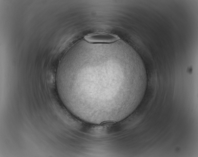 X0000116490084200912231200