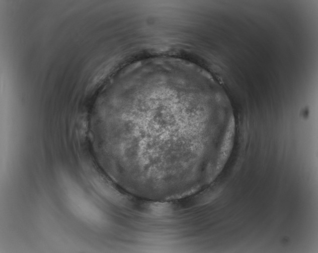 X0000116490085200912231200