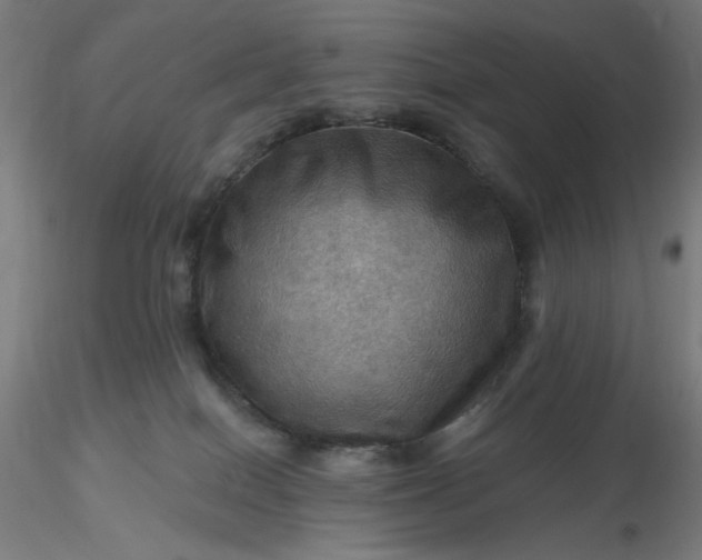 X0000116490086200912231200