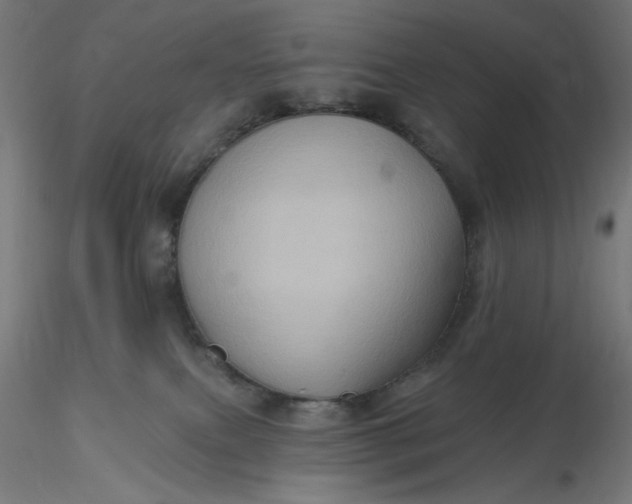 X0000116490087200912231200