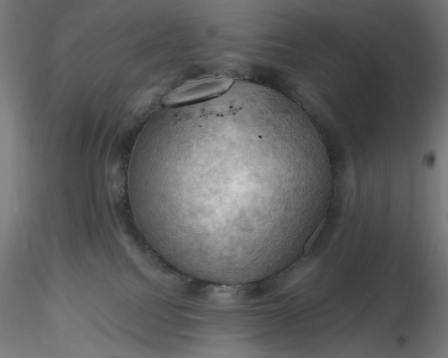 X0000116490088200912231200