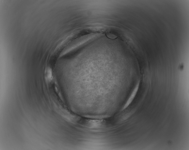 X0000116490089200912231200