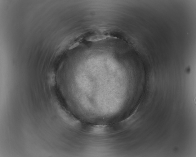 X0000116490090200912231200