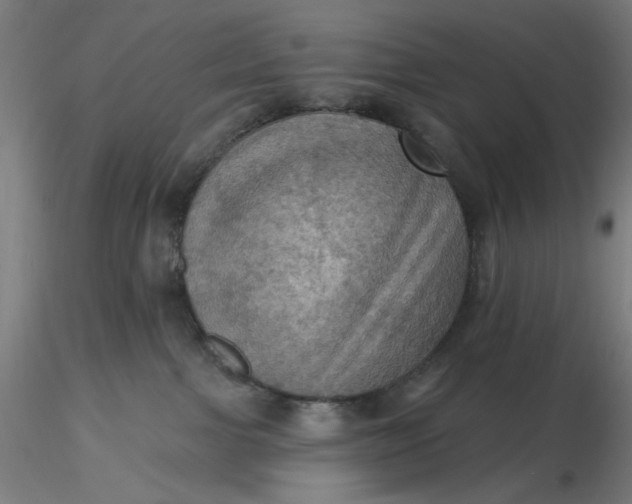 X0000116490091200912231200