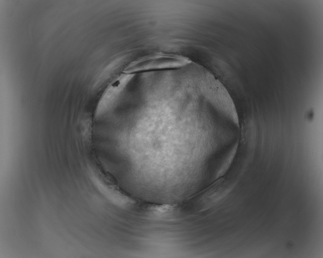 X0000116490092200912231200