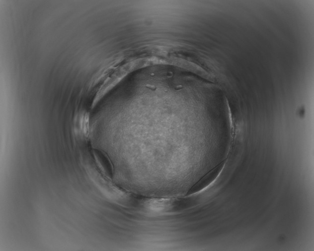 X0000116490094200912231200