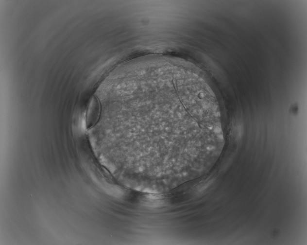 X0000116490095200912231200