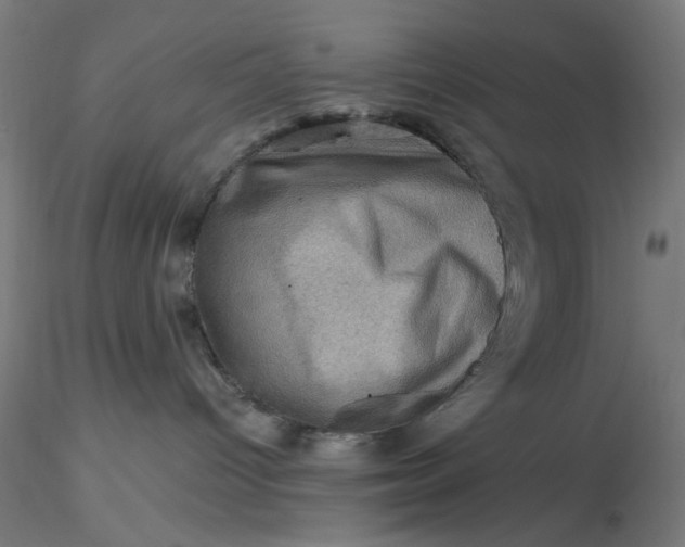 X0000116490096200912231200