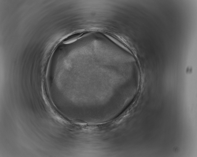 X0000116490097200912231200