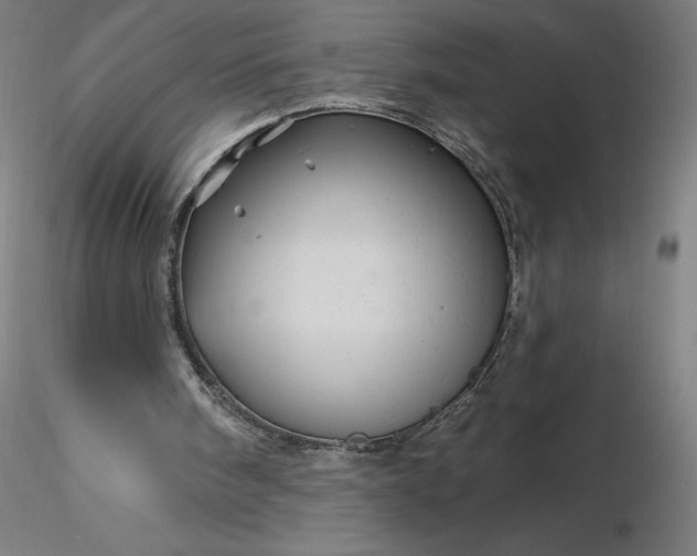 X0000116490098200912231200