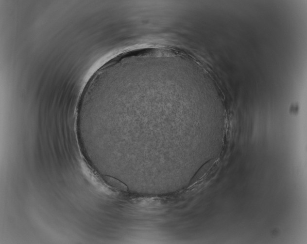 X0000116490100200912231200