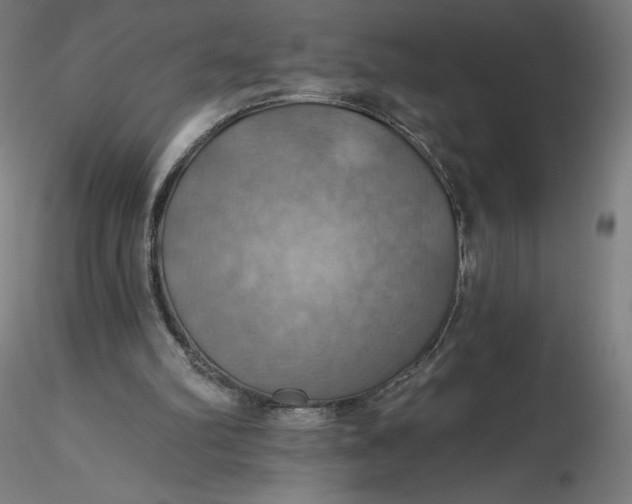 X0000116490102200912231200