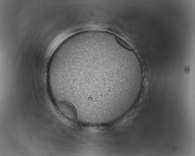 X0000116490103200912231200