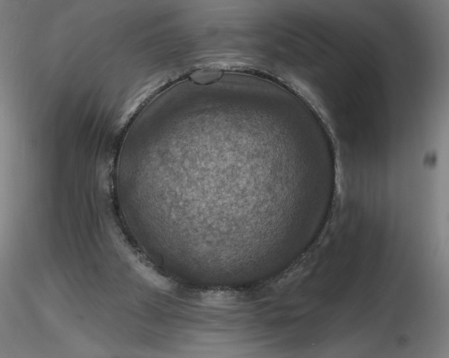 X0000116490105200912231200