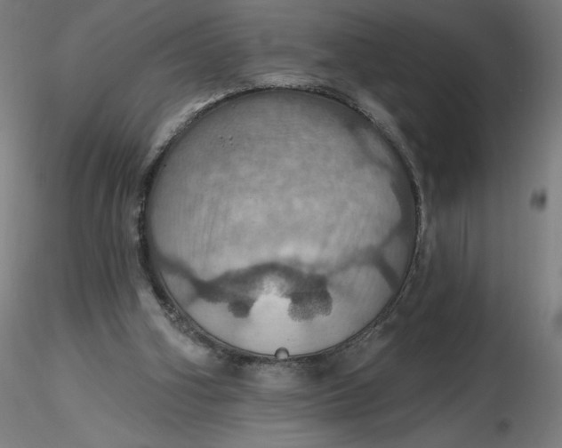 X0000116490106200912231200