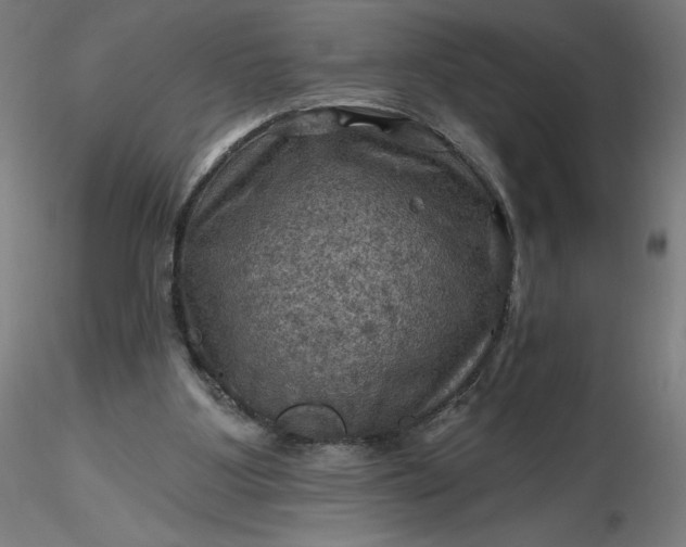 X0000116490107200912231200