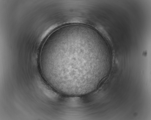 X0000116490108200912231200