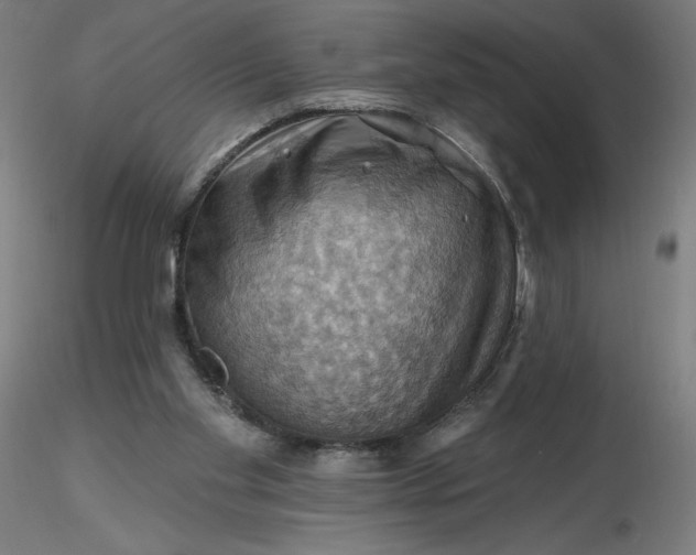 X0000116490109200912231200