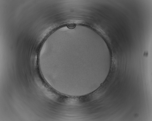 X0000116490110200912231200