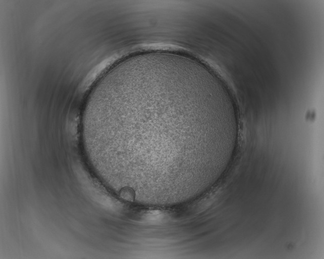 X0000116490111200912231200