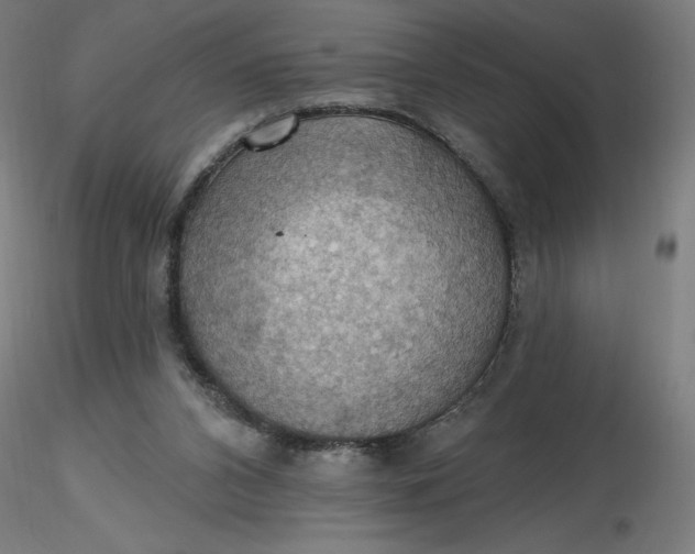 X0000116490112200912231200